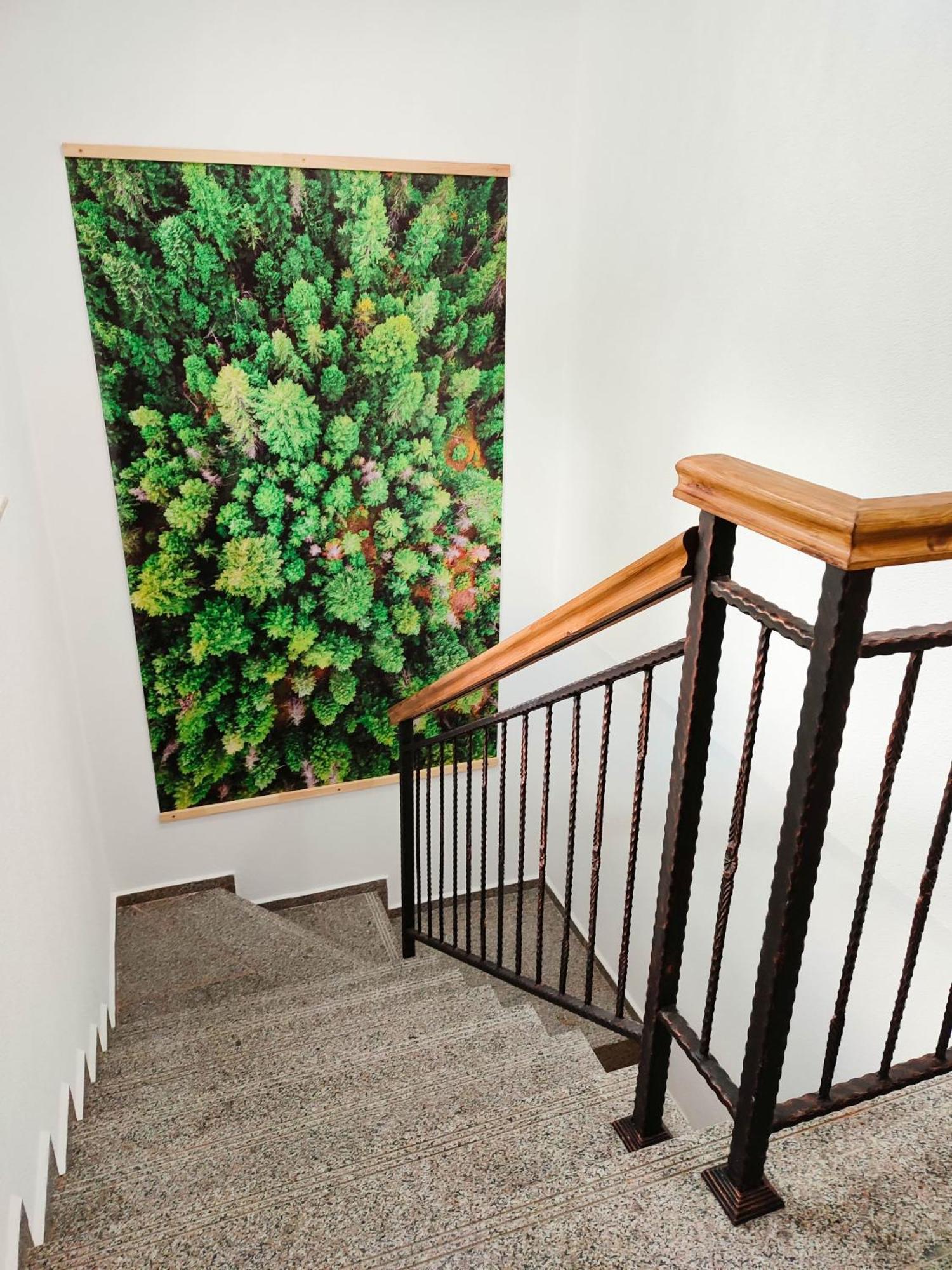 Villa Tangra Grashtitsa Kültér fotó